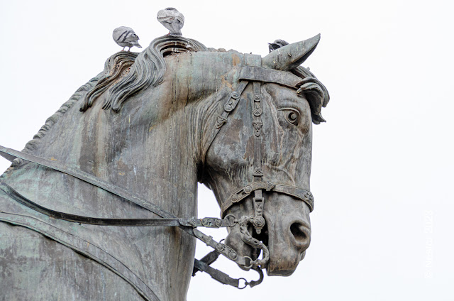 Detalles de la escultura ecuestre del General Espartero en el Paseo del Espolón o Príncipe de Vergara en Logroño. La Rioja