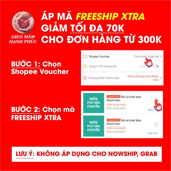 [ gieomamhanhphuc ] Phượng Mẫu Đan - Bổ trứng, dày niêm mạc, điều hòa kinh nguyệt, tăng khả năng thụ thai