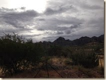 IMG_3895
