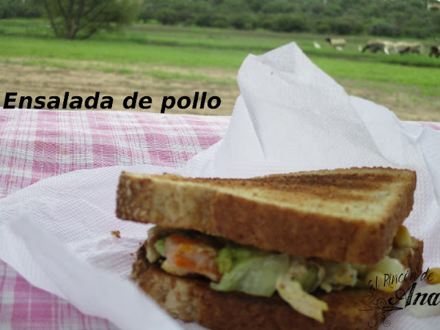 Ensalada de pollo