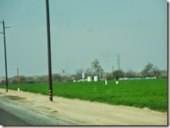 DSCN7255
