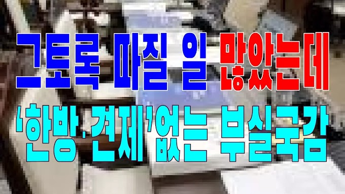 2023.10.23(월) 21개 언론사 사설모음 [새벽창] 그토록 따질 일 많았는데, ‘한방·견제’없는 부실국감