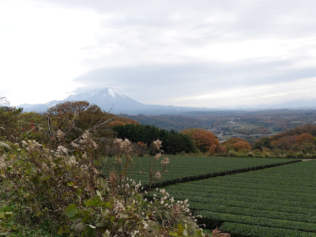 つぼかめ山の山頂付近からの眺望