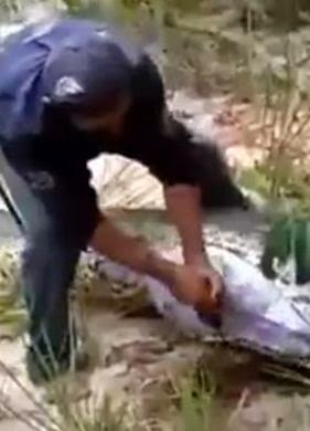 See The Snake that swallowed a........find out