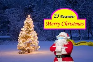 Christmas tree – its importance and role