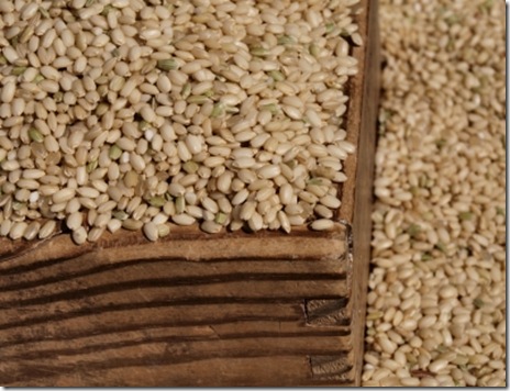 grain