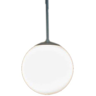 Globe Hanging Light Fixture