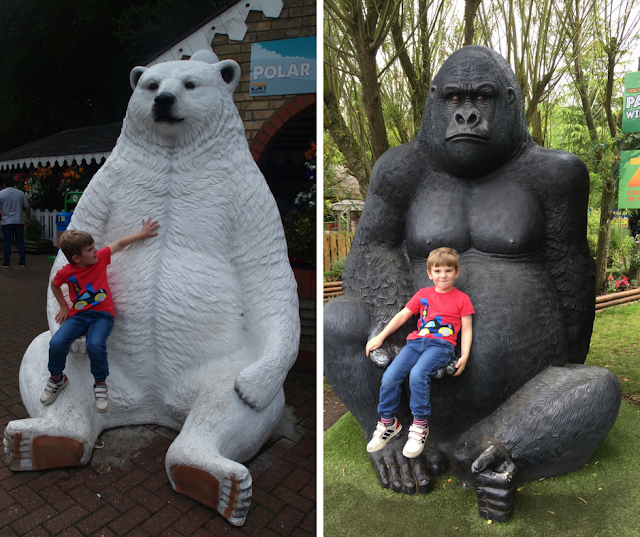 Bert at Paradise Wildlife Park in Hertfordshire