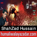 http://www.humaliwalayazadar.com/2015/10/shahzad-hussain-nohay-2016.html