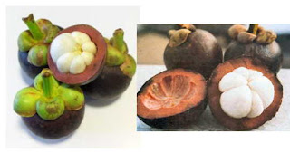 Mangosteen, the queen of Thai fruits, it is a dark red color outside and have white soft meat unside. The taste is very sweet and loved all over Thailand.