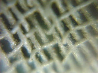 microscopic camera photos android