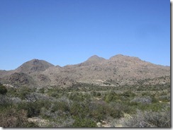 IMG_7801