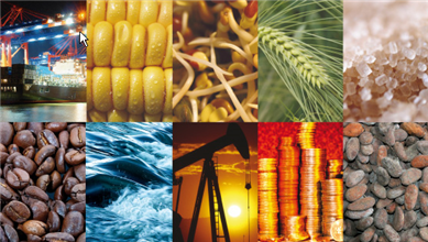 Commodity Trading