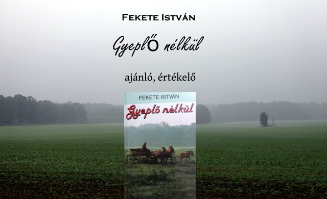 Fekete István Gyeplő nélkül könyv ajánló, értékelő