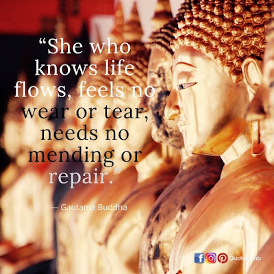 buddha quotes images