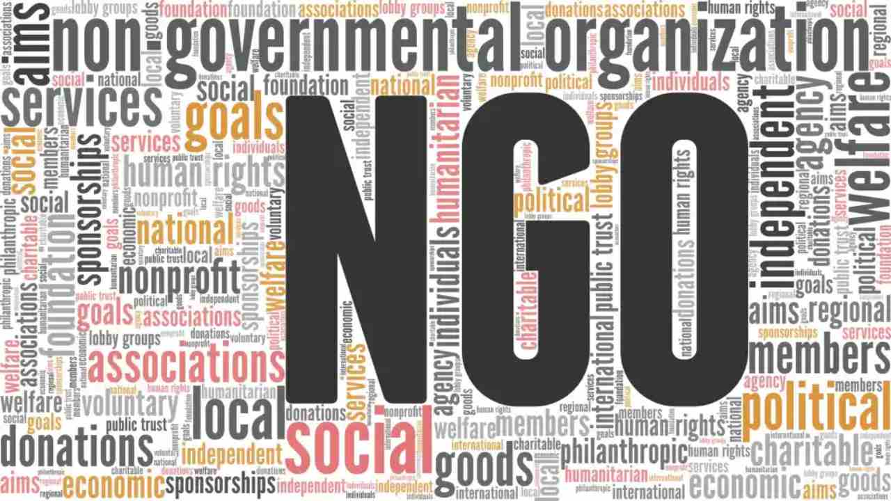 What are the Requirements to Open an NGO in Cameroon?