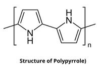Structure of Polypyrrole