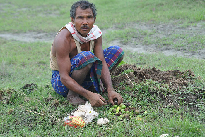 40 Years Ago A 16-Year-Old Began Planting A Tree Every Day On A Remote Island, And Today It’s Unrecognizable