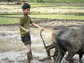 Child in Karnali Region