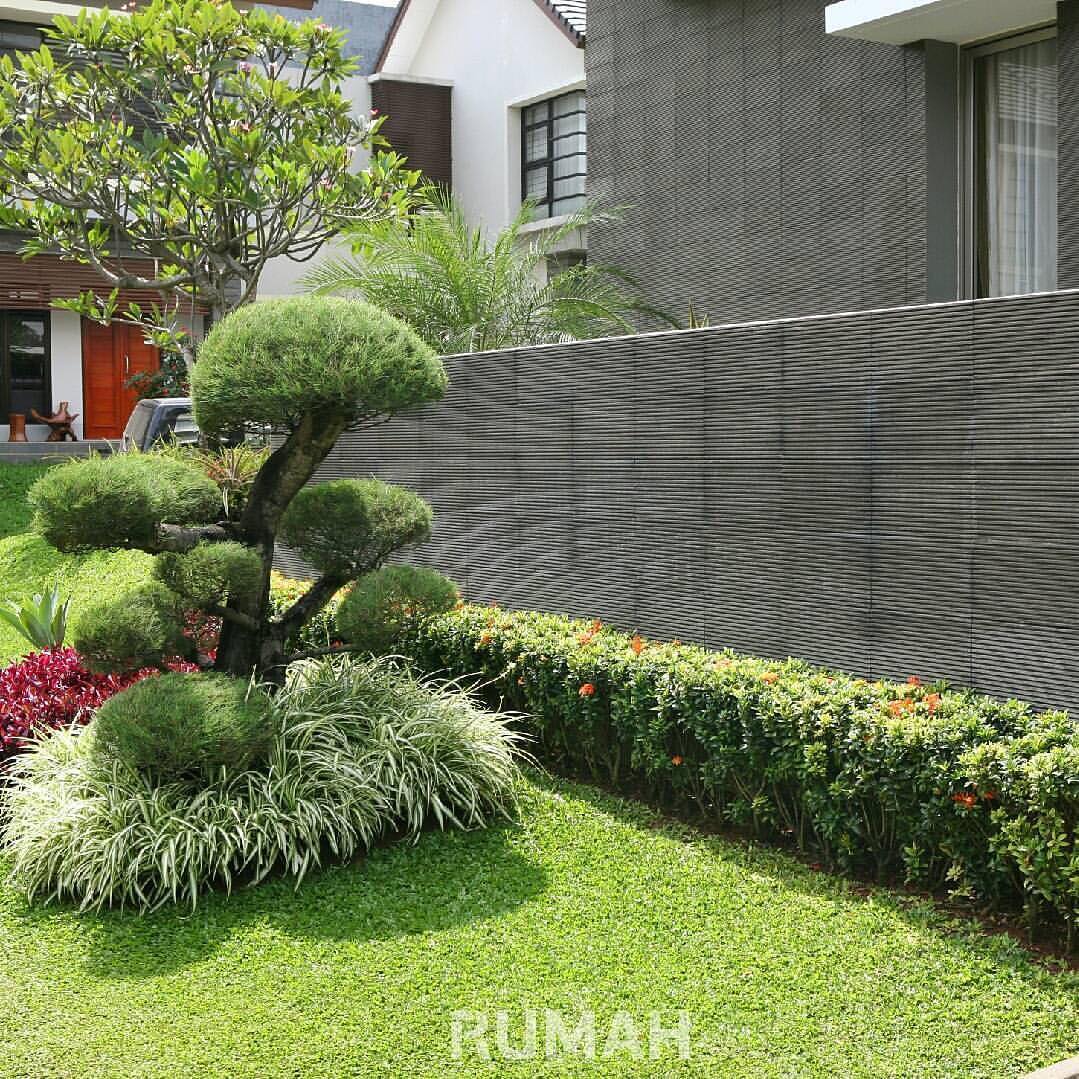 Rumput Yang Tepat Untuk Taman Rumah Minimalis RumahShabbychiccom