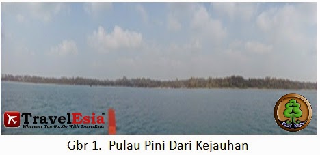 Pulau Pini