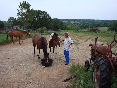 Rita's ponies