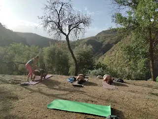 A yoga exercise, Christa shows a participant how to do it. There are three people, an almond tree and a green landscape.