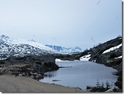 IMG_7984
