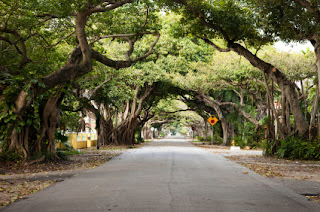 old cutler road coral gables