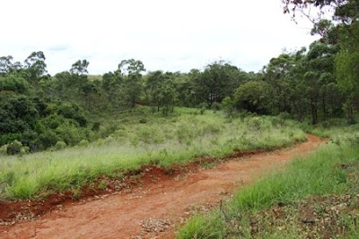 Parque Estadual Ara | SP