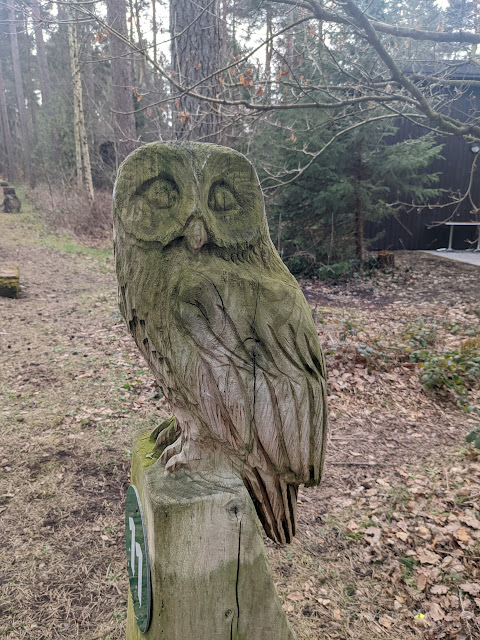 Owl Trail at Center Parcs Whinfell Forest