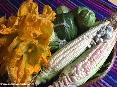 Productos de la Alimentación Prephispánica