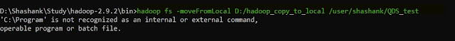 Hadoop moveFromLocal