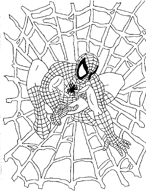 Spiderman Cartoon Super Hero Free Coloring Sheet title=