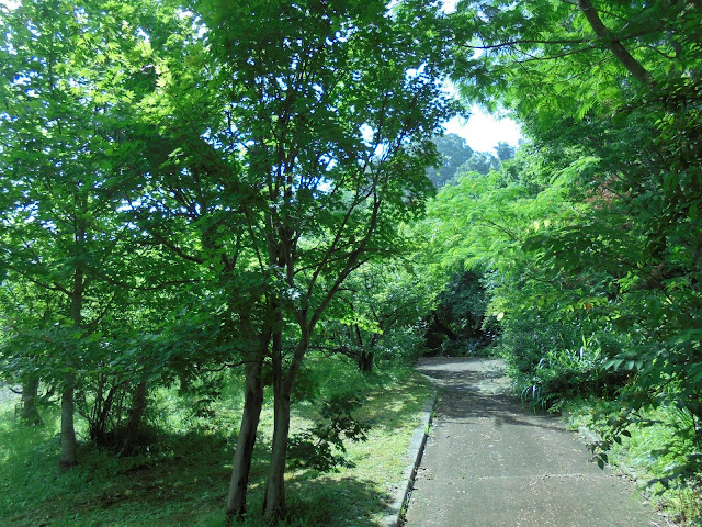 別所川渓流植物園