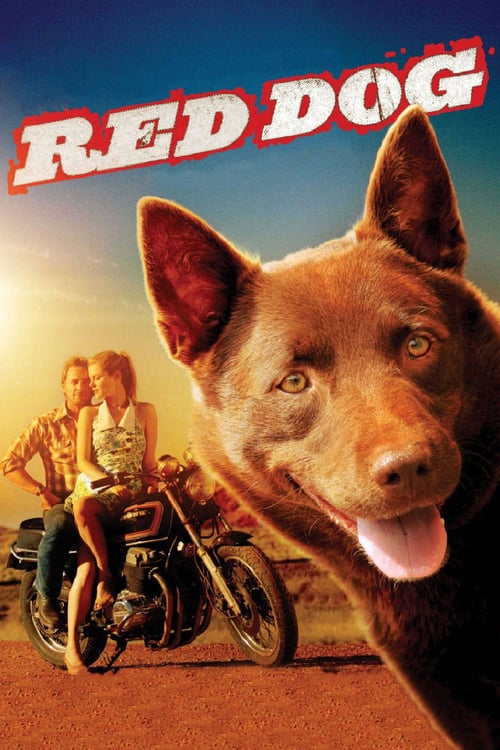 [HD] Red Dog, una historia de lealtad 2011 Pelicula Completa En Español Castellano