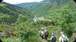 Nº  (117)