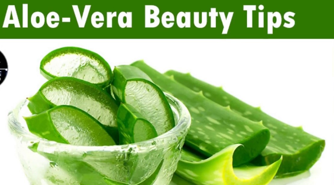 Aloevera Beauty Tips, 12 Ways To Use Aloe Vera Gel For Skin & Hair
