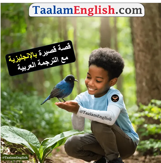 English short story with Arabic translation about a boy and a beautiful bird in the woods