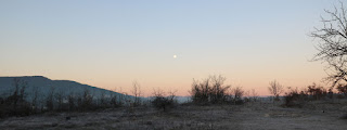 Moon still out early Sunday morning