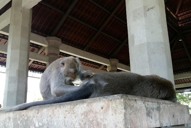 достопримечательности Убуда Monkey Forest ( Лес Обезьян).