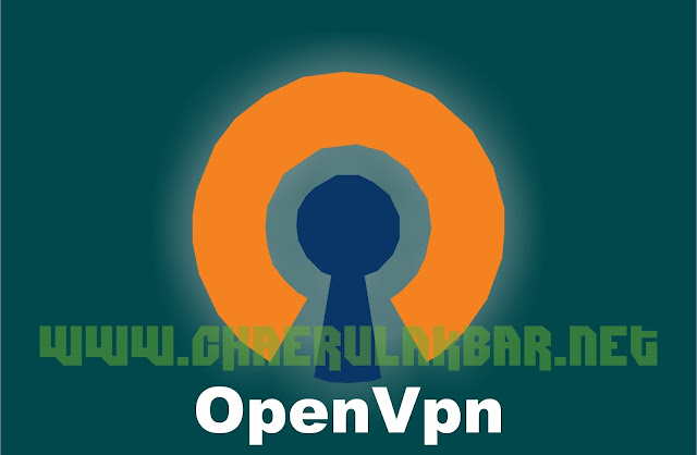 OpenVpn Connect Versi 1.1.17