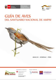 https://issuu.com/programabosquesandinos/docs/guia_aves_sna_digital_final