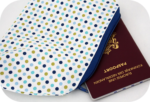 Travel document pouch