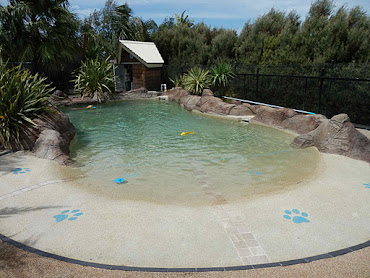 #21 Outdoor Swimming Pool Design Ideas
