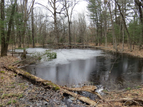 ephemeral pond