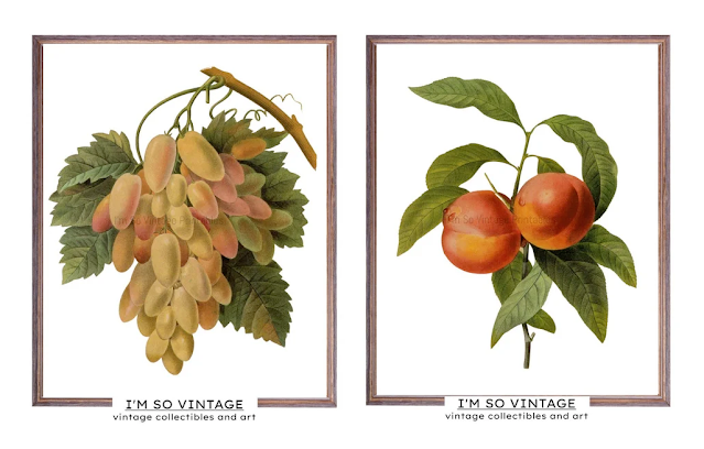 Pair of Redoute fruit prints