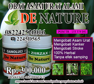 obat asam urat bagi ibu hamil