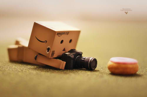 There's something about Danbo that pushes one's picture perfect creativity