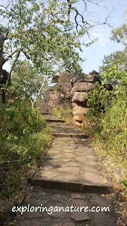 Bhimbetka, The Rock Shelters